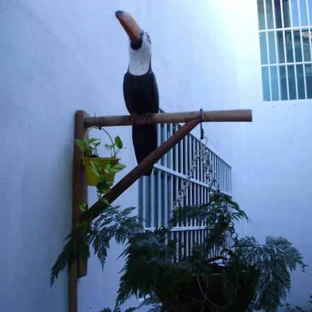 Aconchego Dos Milagres Villa São Miguel dos Milagres Екстериор снимка