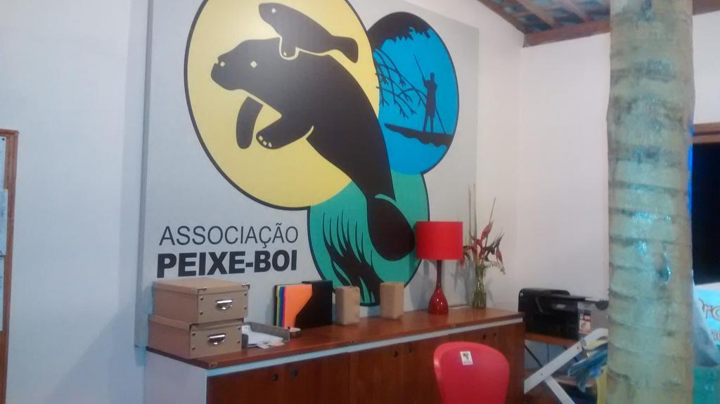 Aconchego Dos Milagres Villa São Miguel dos Milagres Екстериор снимка