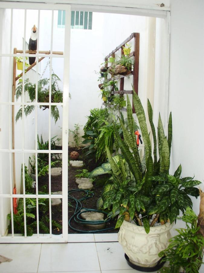 Aconchego Dos Milagres Villa São Miguel dos Milagres Екстериор снимка